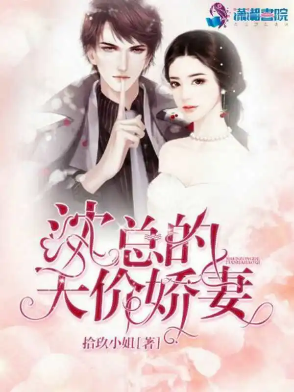 沈总的天价娇妻