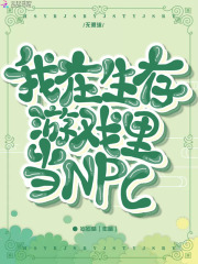 前后四根一起双龙np