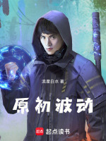 原初波动封面