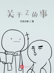 关于Z的事
