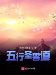 五行圣尊计算机技术在线阅读