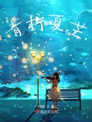 青柠夏芒在线阅读