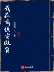 我在武侠卖假货在线阅读