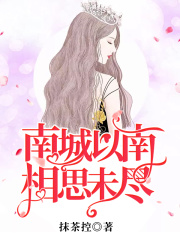 南城以南，相思未尽在线阅读