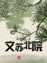 文苏北院