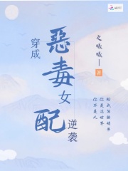 穿成恶毒女配逆袭在线阅读