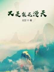 又是梨花漫天在线阅读
