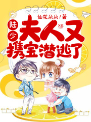 陆少，夫人又携宝潜逃了