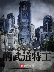 谍战剧中的武道特工在线阅读