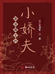 霸道魔主的小娇夫在线阅读