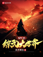 NPC的综武大世界在线阅读