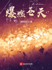 爆燃苍天在线阅读