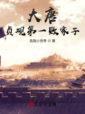 大唐 贞观第一败家子 危险小世界 最新章节在线阅读 起点中文网官方正版
