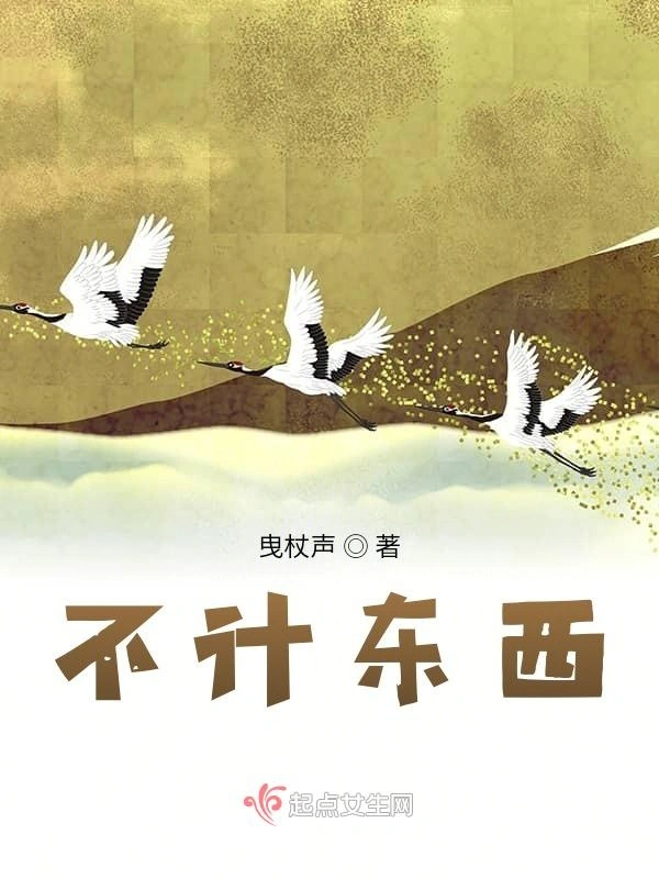 不计东西