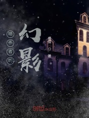 暗杀者的幻影在线阅读