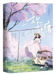 一枚小软糖在线阅读