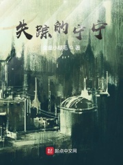 失踪的宁宁在线阅读