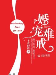 婚宠难戒在线阅读