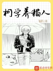 柯學養貓人小說封面圖