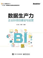 数据生产力：企业BI项目建设与运营