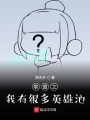 联盟之我有很多英雄池在线阅读