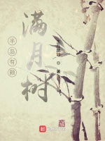 半岛有颗满月树在线阅读
