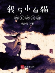 我与小白猫的五次相遇在线阅读