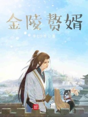 金陵赘婿在线阅读