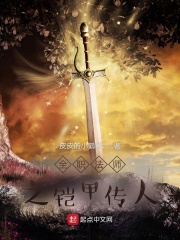 全职法师之铠甲传人在线阅读