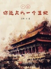 少主，你还欠我一个王妃