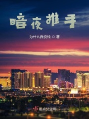 暗夜推手在线阅读