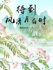 待到风清月白时