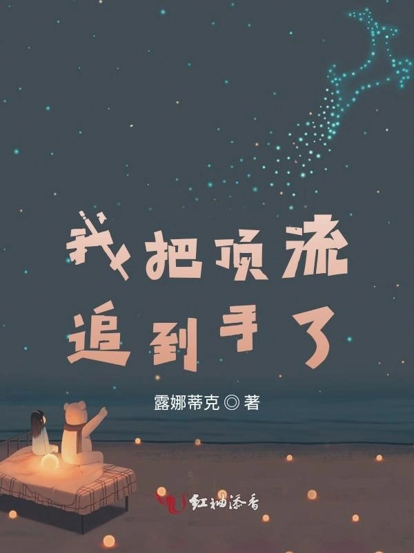 我把顶流追到手了