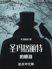 圣玛格丽特的眼泪在线阅读