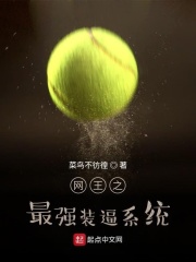 网王之最强装逼系统在线阅读