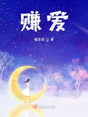 赚爱在线阅读