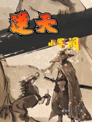 逆天小军阀在线阅读
