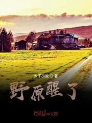 野原醒了在线阅读