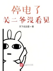 停电了，关二爷没看见在线阅读