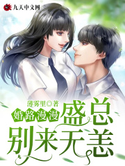 婚路漫漫：盛总，别来无恙在线阅读