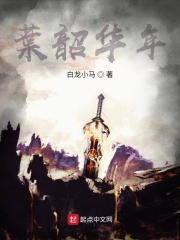 叶韶华年在线阅读