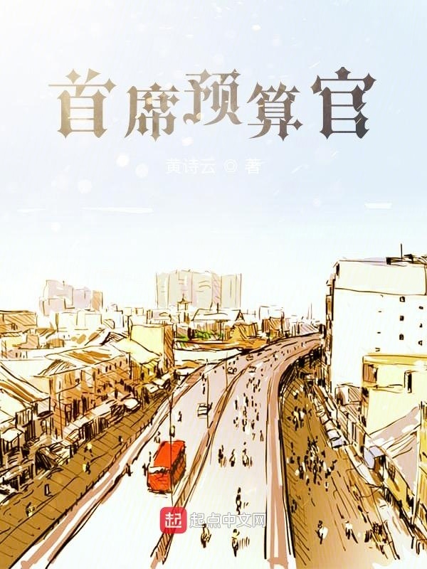 首席预算官在线阅读