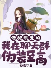 至高洪荒