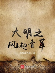大明之风起青苹在线阅读