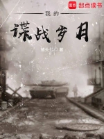我的谍战岁月小说封面 - 猪头七著 - 小说