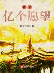 再来亿个愿望在线阅读