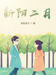 新阳二月在线阅读