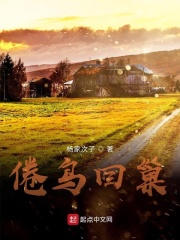 倦鸟回巢在线阅读