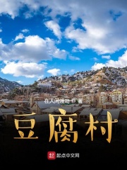 豆腐村在线阅读