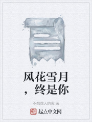 风花雪月，终是你在线阅读